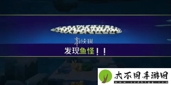 潜水员戴夫斑点海鳗怎么抓