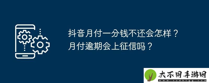 抖音月付一分钱不还会怎样