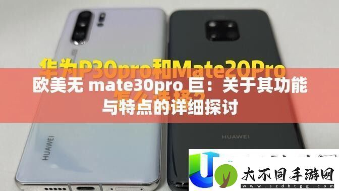 欧美mate30pro巨无霸功能详解与特点对比