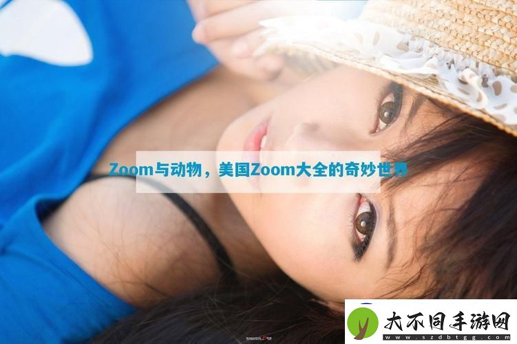 在ZOOM与动物ZOOM大全美国中