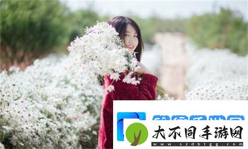 台球室的特殊待遇2HD揭秘！隐藏福利竟让玩家疯狂打卡