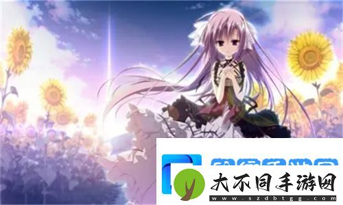 揭秘17.c