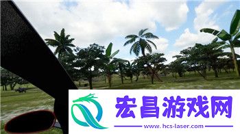 探索提升方法与技巧