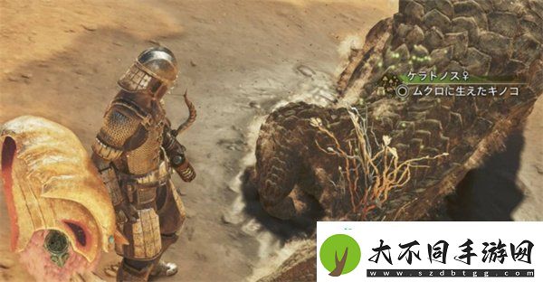 怪物猎人荒野冬龙夏草怎么获得