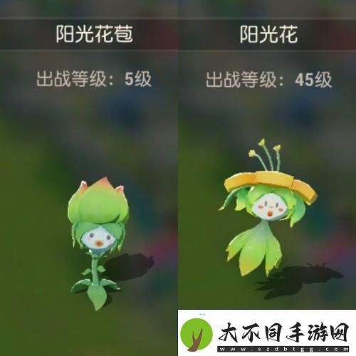 海岛纪元宠物骑乘证获取全攻略