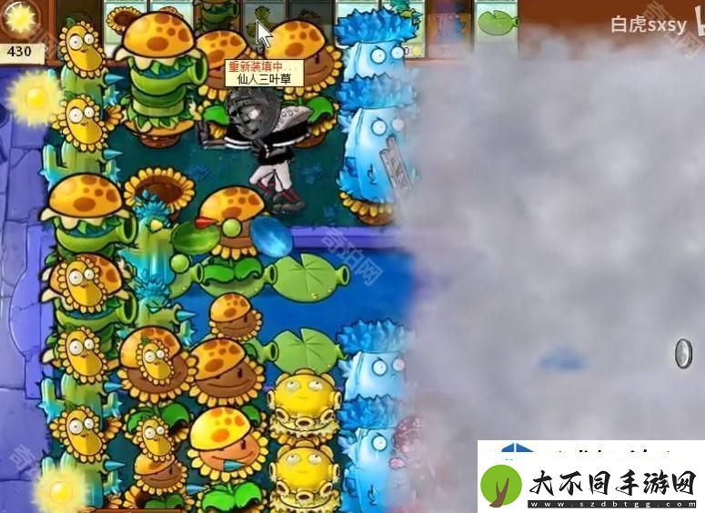 植物大战僵尸杂交版