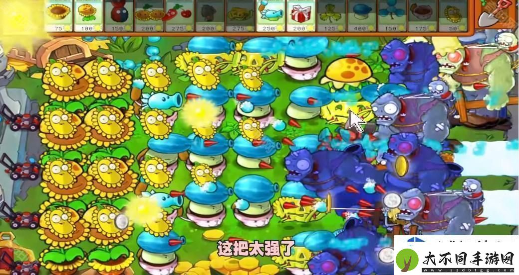 植物大战僵尸杂交版冒险模式第49关通关技巧与策略分析