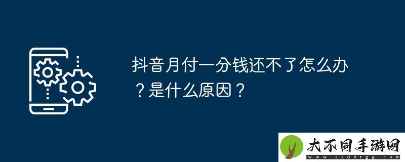 抖音月付一分钱还不了怎么办