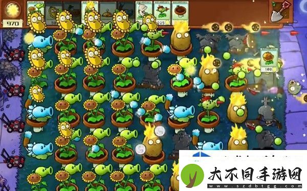 植物大战僵尸杂交版