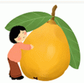 亚精产品一三三三菠萝蜜免费播放国语版